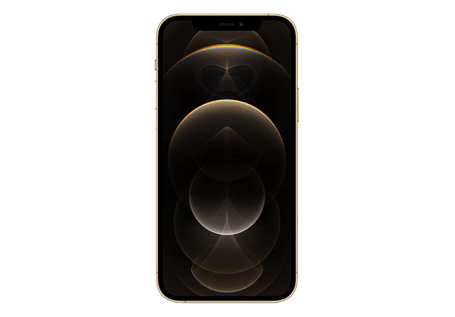 iPhone 12 Pro Max in Gold