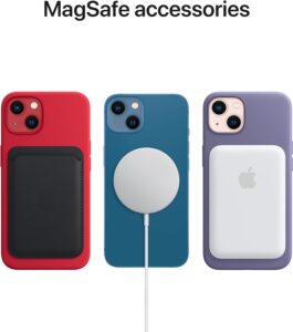 iPhone 13 Case Options