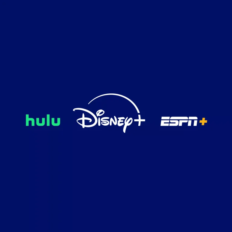 Disney bundle